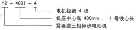 YR系列(H355-1000)高压YJTFKK5004-10-450KW三相异步电机西安西玛电机型号说明